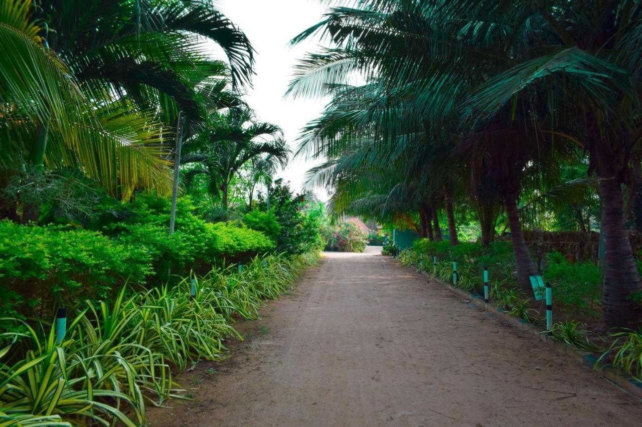 Hotel Mithra Paradise